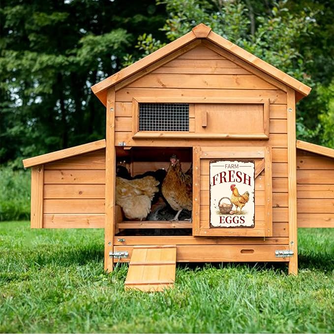 Metal Signs Farm Fresh Eggs Chicken Vintage Tin Sign for Farmhouse Chicken Coop Farm Kitchen Wall Decor 12x8 Inch
