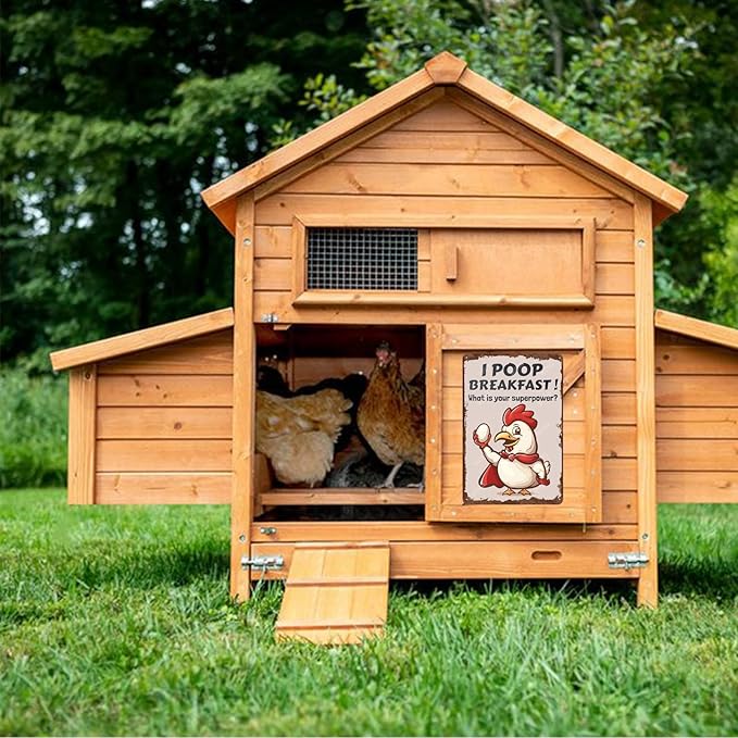 Metal Signs I Poop Breakfast What Is Your Superpower Chicken Farm Sign Vintage Aluminum Sign for Home Office Kitchen Bar Cafe Garden Wall Decor 12x8 Inch