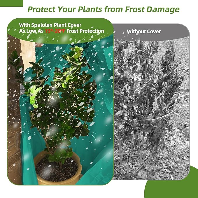 2 Pack Plant Covers Freeze Protection, 75"W x 90"H Winter Frost Blanket 2.36 oz/yd² Fabric Frost Cloth Tree Covers Shrub Jacket Bag with Zipper & Drawstring for Plants Fruit Tree Shrub Potted - Green