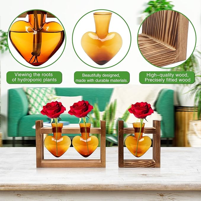 2+1 Plant Terrarium Plant Propagation Station Birthday Gifts for Women Home Office Decor with Wooden Stand