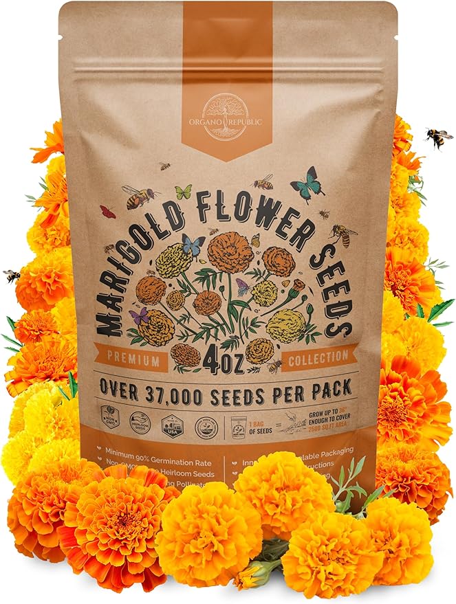 Marigold Seeds Pack 4 oz - Over 37,000 Non-GMO Heirloom Marigold Seeds for Planting Indoor & Outdoor Gardening, Flower Seed for Planting Home and Garden, Flowers Seed in Individual Packet