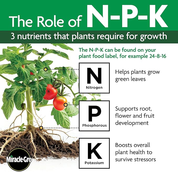 Miracle-Gro Water Soluble Bloom Booster Flower Food, Plant Food for Annual and Perennial Flowers, In-Ground and Container Plants, Roses, Hydrangeas, Hibiscus, 5.5 lb.