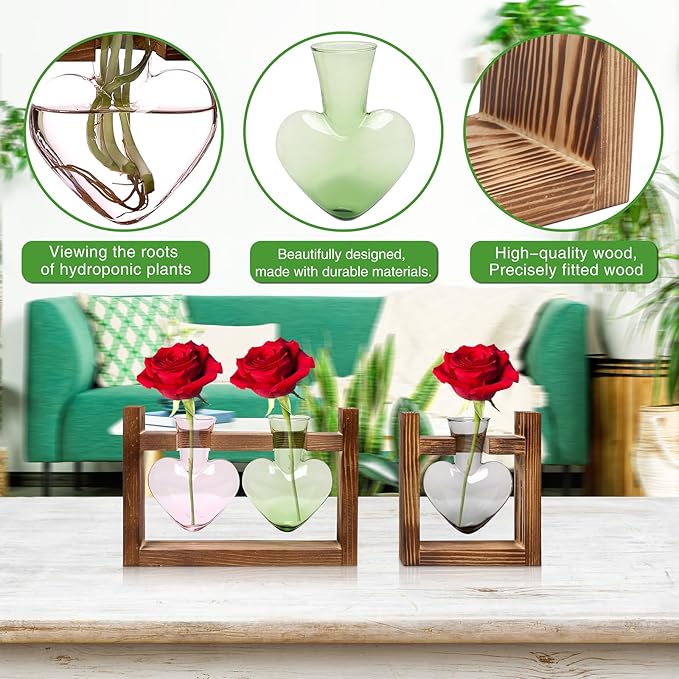 2+1 Plant Terrarium Plant Propagation Station Birthday Gifts for Women Home Office Decor with Wooden Stand