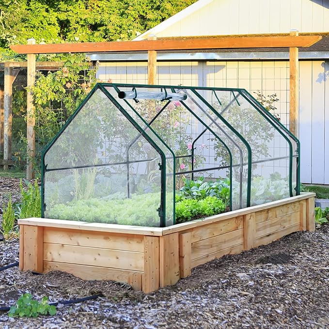 Ohuhu Portable Mini Greenhouse, 71"x36"x36" Greenhouses for Outdoors with Dual Large Zipper Doors & Ground Stakes, Waterproof & UV Protected Plastic Green House for Outside Garden Patio Transparent