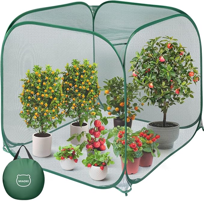 MIAOKE Pop Up Mesh Plant Cover, 35.4x35.4x38.2 Inch No Build Garden Netting Protection Against Insects, Raised Bed Cover for Barrier Against Insects for Vegetable Plant Fruit Animals