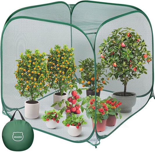MIAOKE Pop Up Mesh Plant Cover, 35.4x35.4x38.2 Inch No Build Garden Netting Protection Against Insects, Raised Bed Cover for Barrier Against Insects for Vegetable Plant Fruit Animals