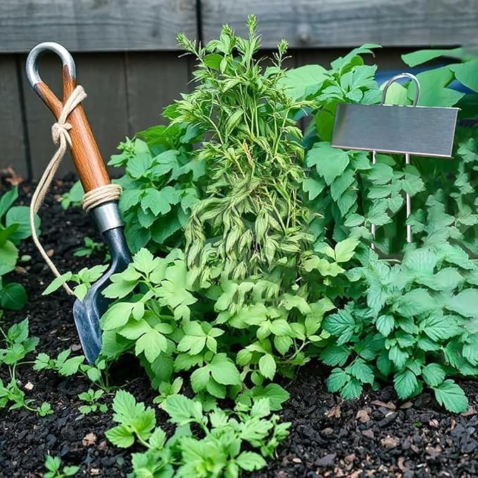 Plant Labels Metal Stainless Steel Garden Plant Markers Weatherproof Garden Stake Tag Plant Tags with Pen for Outdoor Seedling Flower Herb Vegetable Greenhouse(30 Pack) (Stainless Steel)