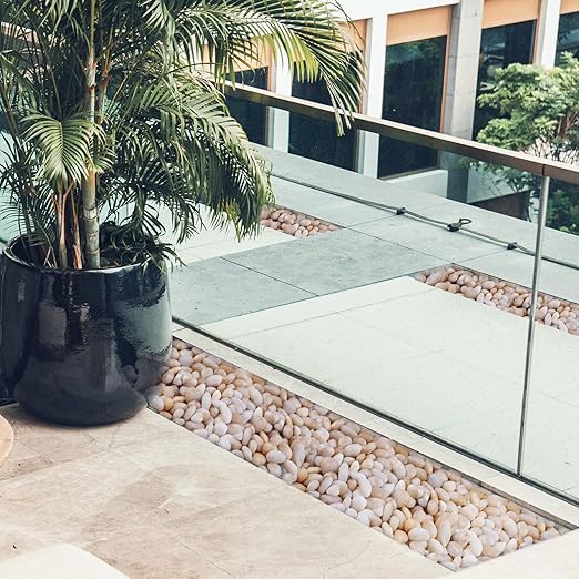 20Ib Cream White River Rock- Decorative Pebbles for Plants - River Rocks for Outdoor Landscaping- 0.3"-0.8" inch High Polished Stones for Aquarium, Terrarium,Vases, Home Decor