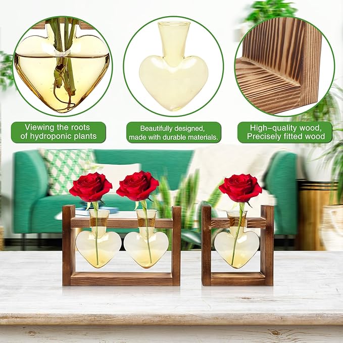 2+1 Plant Terrarium Plant Propagation Station Birthday Gifts for Women Home Office Decor with Wooden Stand