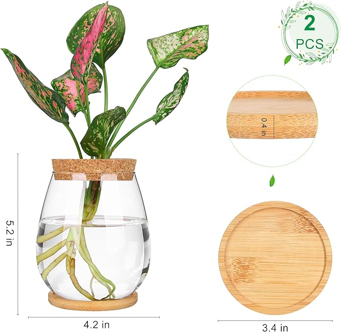 2Pcs Propagation Vases for Plants, Well-Made Plant Terrarium, Hydroponic Glass Container Vase Jars, Plant Lover Gifts for Women, Windowsill Kitchen Desktop Decorations