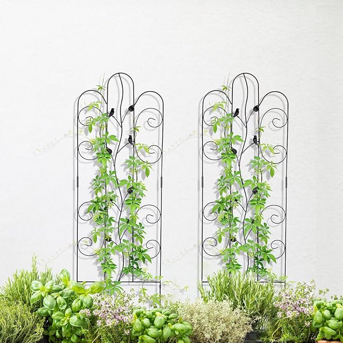 Metal Garden Trellis for Climbing Plants & Roses 61''x 18.5" Plants Support Rustproof Sturdy Leaves Garden Trellis for Vegetables Trellis for Potted Plants Pack of 2 - Black