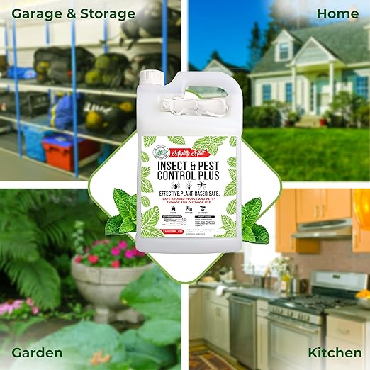 Mighty Mint Insect and Pest Control Plus – Natural Mint Oil Insect Killer Spray, 1 Gallon