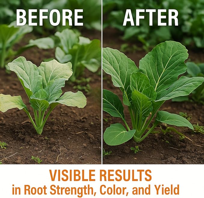 Organic Kelp Fertilizer by GS Plant Foods - Omri Listed(1 Gallon) - Liquid Kelp Concentrate for Gardens, Lawns & Soil Yields 800+ gallons