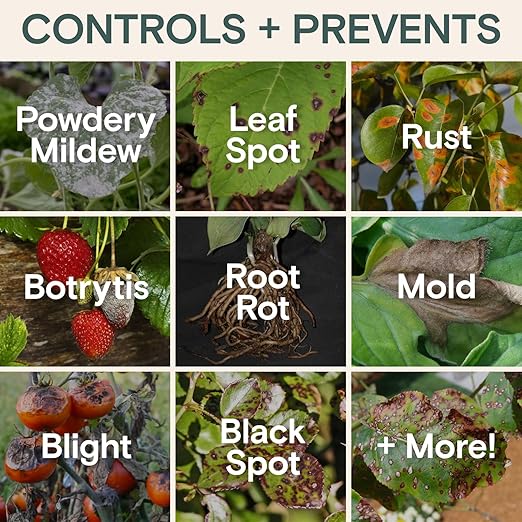 Organic Food & Fertilizer – Liquid Nutrients for Houseplants, Indoor & Outdoor Growth, House Fertilizer for Vegetables, Flowers, Monstera, Bougainvillea, Money Tree - (Organic Nutrition & Health Set)