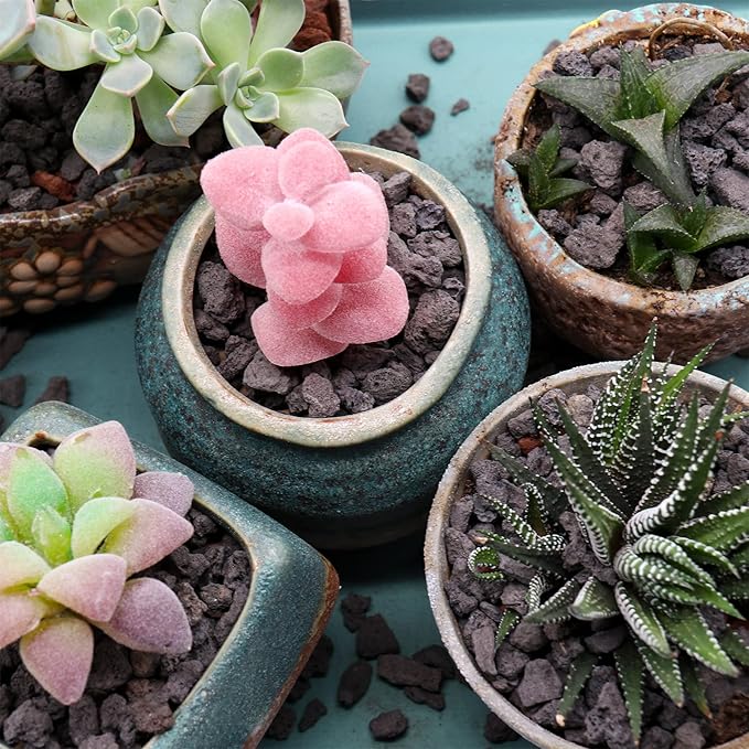 Volcanic Rock for Plants. Black Lava Rock. 1/5 Inch - 2 lbs for Potting Soil, Succulents, Pots, Plants, Indoor, Crafting, Vase Fillers (Mini (0.2 Inch), Horticultural - Black Lava, 2)