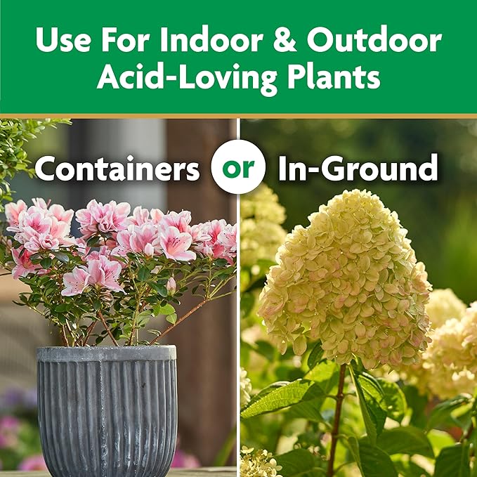 Miracle-Gro Water Soluble Azalea, Camellia, Rhododendron Plant Food - Fertilizer for Acid-Loving Plants & Flowers, 5 lb.