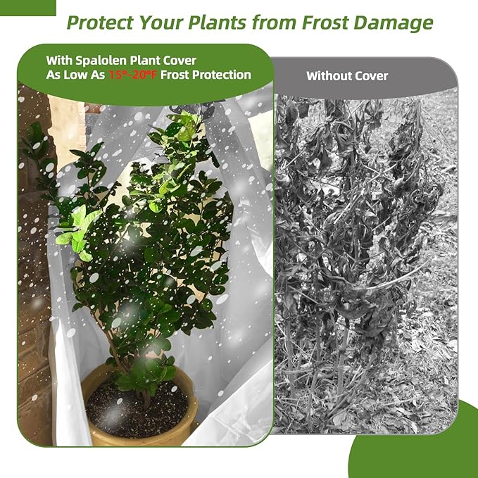 2 Pack Plant Covers Freeze Protection, 48"W x 72"H Winter Frost Blanket 2.36 oz/yd² Fabric Frost Cloth Tree Covers Shrub Jacket Bag with Zipper & Drawstring for Plants Fruit Tree Shrub Potted - White