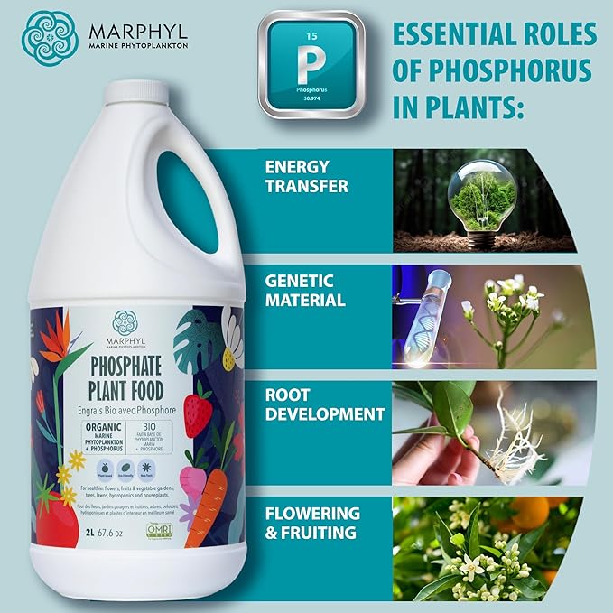 MARPHYL Organic Liquid Phosphate Soil Enhancer. Phosphorus Fertilizer for Garden, Flowers, Vegetables, Succulents, Bamboo, Hydroponics 16.9 oz