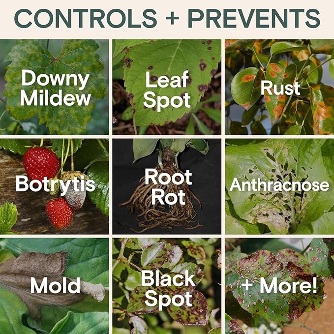 Organic Fungicide Liquid Concentrate for Indoor, Outdoor, and House Plants – Natural Fungicide for Plants, Lawn Fungus Treatment, Powdery Mildew Control, Mushroom Lawn Treatment, Spider Mite Defense