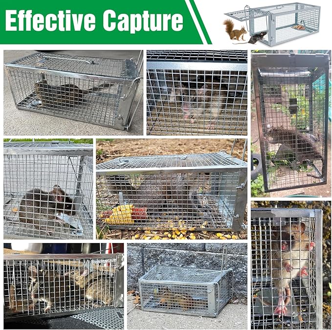 2 Packs Humane Rat Trap Outdoor, Wanqueen Humane Mouse Traps Indoor, Small Rodent Chipmunk Trap and Other Live Animal Cage Catch and Release