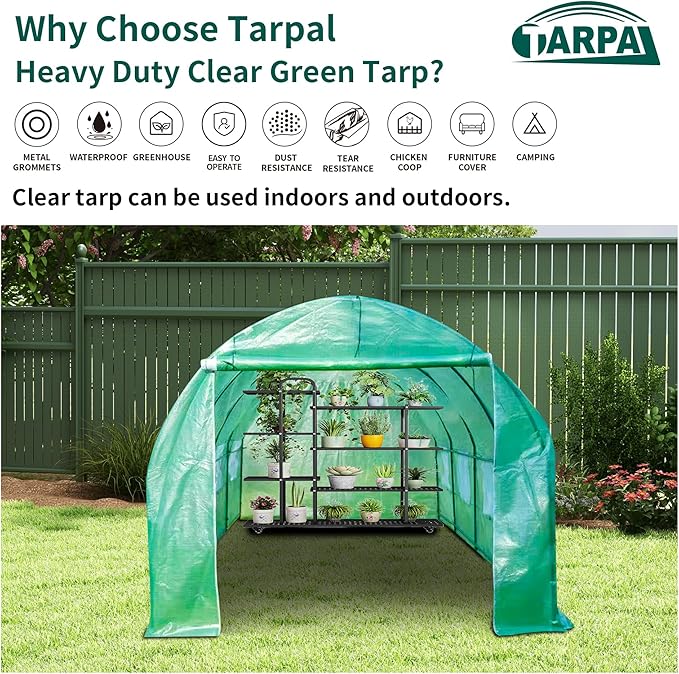 TARPAL 20'x20' Clear Green Tarp Heavy Duty Waterproof 12mil with Grommets or Zip Ties for Large Greenhouses for Outdoors Garden,Farm,Chicken Coops