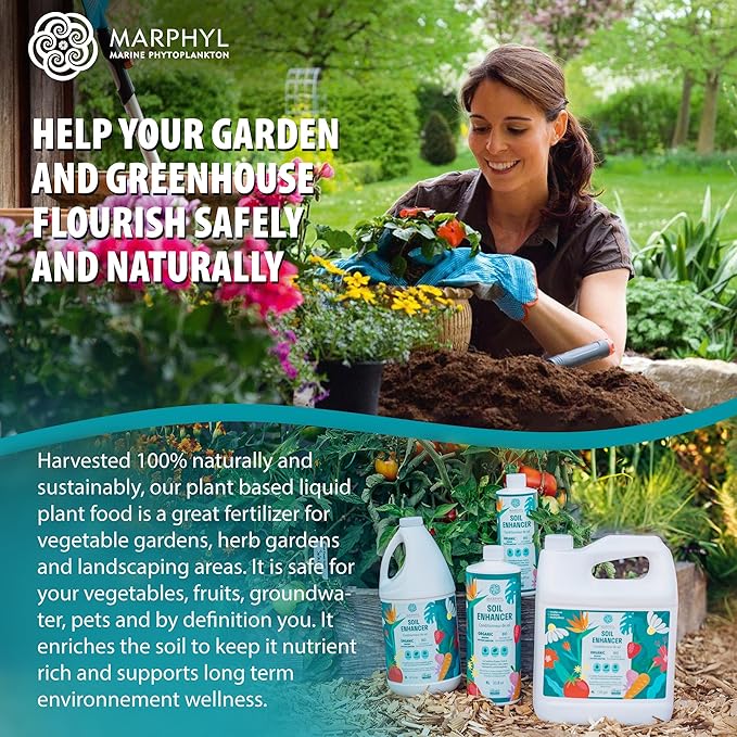 MARPHYL Plant Fertilizer Houseplants and Garden - Marine Phytoplankton Soil Improver and Hydroponic Fertilizer for Grasses, Bamboo, Succulents, & Vegetables - Organic Plant Liquid