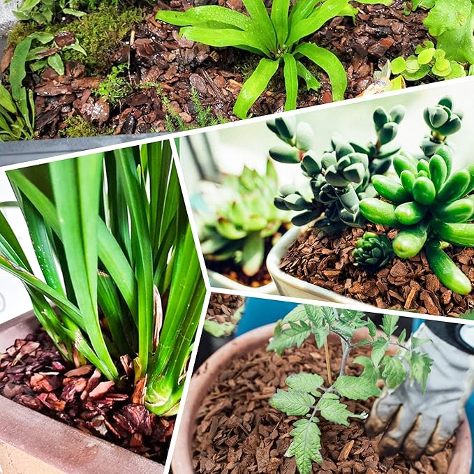 14qt Organic Orchid Potting Bark -Natural Mulch for Potted Plants, Root Development of Orchid Plants and Garden Soil Amendment Mix