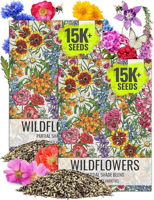 Seed Needs Partial Shade Wildflower Seed Mix for Planting | 2 Packs (1 Ounce Each) 14+ Varieties Open Pollinated Annual & Perennial Species | Flower Seeds Shade Tolerant | Bulk