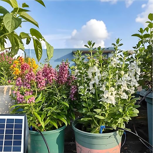 RISINGUP Solar Drip Irrigation System with Timer, Programmable Smart Watering with 2200mAh Battery, Automatic Plants Watering System for 15 Potted Plants Outdoor Garden, Patio, Balcony, Greenhouse