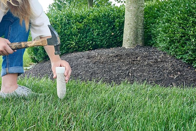 Miracle-Gro Plant Food Spikes Bundle for Fruit and Citrus Plus Trees and Shrubs, For Deciduous, Evergreen and Flowering Trees and Shrubs, 24 Spikes