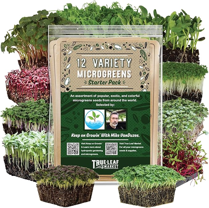 12 Variety Pack Microgreens Seeds Kit - Broccoli Seed for Sprouting Plus Purple Radish, Beet, Sunflower Microgreens, Peas, Shiso, Cilantro, Beet, Pak Choi, Korean Shiso, Cress & More