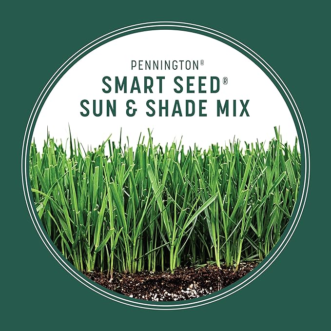 Pennington Smart Seed Sun and Shade Grass Mix 20 lb, Black Label