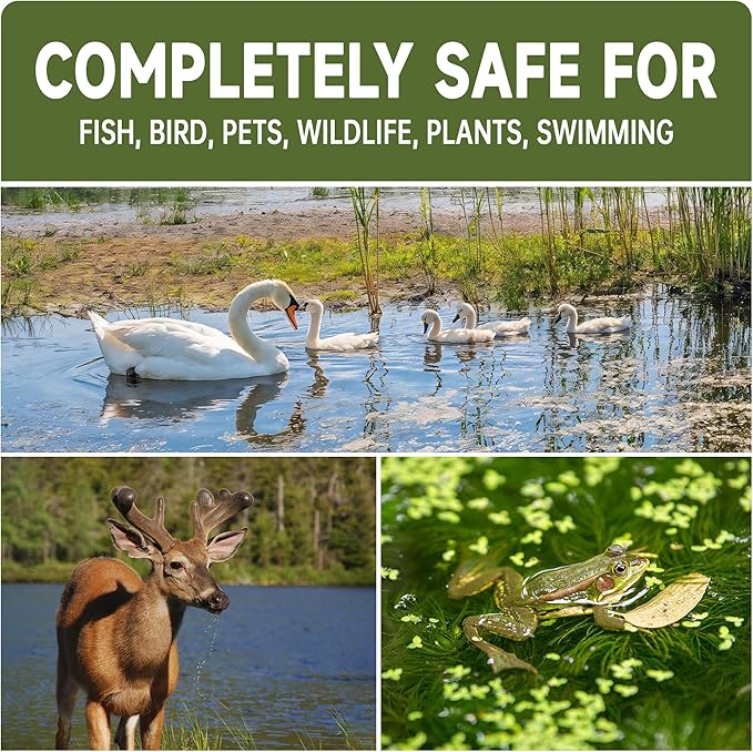 Muck Reducer - 1LB Natural Sludge Solution Tablets for Ponds & Lakes, Away Muck & Odor Control, Safe for Aquatic Life, Wildlife & Recreation, Treats Up to 6,000 Sq Ft