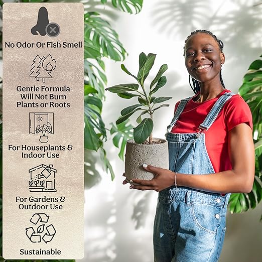The All-in-One Complete Organic Plant Food, Indoor Plant Food for Houseplants, Organic Fertilizer for Vegetable Gardens, 3lb =75 Formulated Servings Feeds 150 gal Instantly and Slow Release