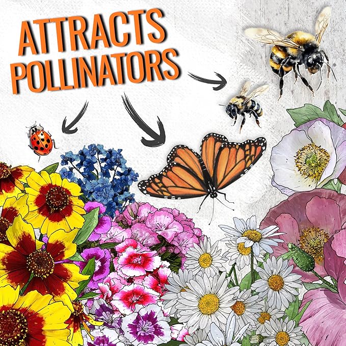 Seed Needs Partial Shade Wildflower Seed Mix for Planting | 10 Packs (1 Ounce Each) 14+ Varieties Open Pollinated Annual & Perennial Species | Flower Seeds Shade Tolerant | Bulk