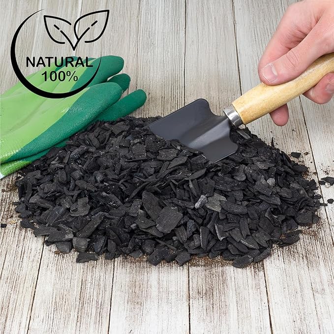 Horticultural Charcoal for Indoor Plants (1 Quart), Hardwood Soil Additive for Orchids, Terrariums, and Gardening