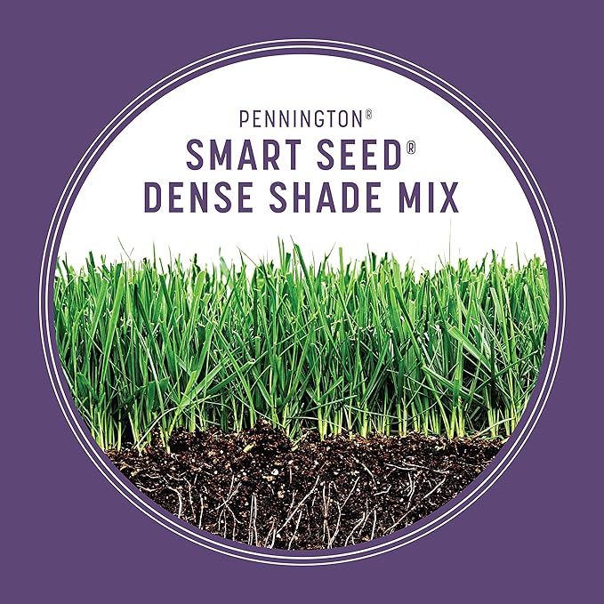 Pennington Smart Seed Dense Shade Grass Mix 3 lb